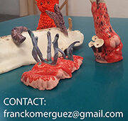 Franck Omer